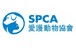 Community Service Parent-Child Education session at the Society for the Prevention of Cruelty to Animals (SPCA)